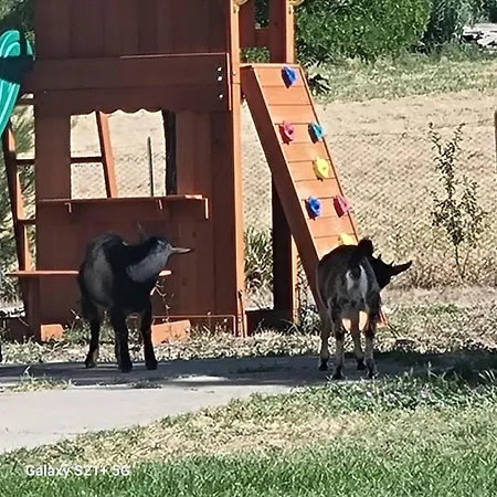 Masseria La Rocca فندق مبيت وإفطار 3*